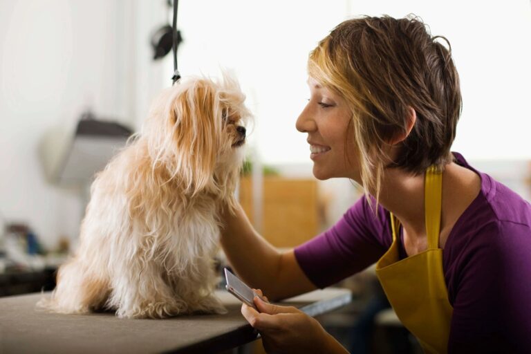 How to Choose the Right Pet for Your Lifestyle