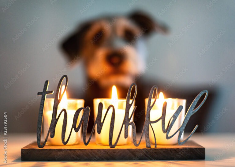 Thankful Gratitude Candles With Dog in Background